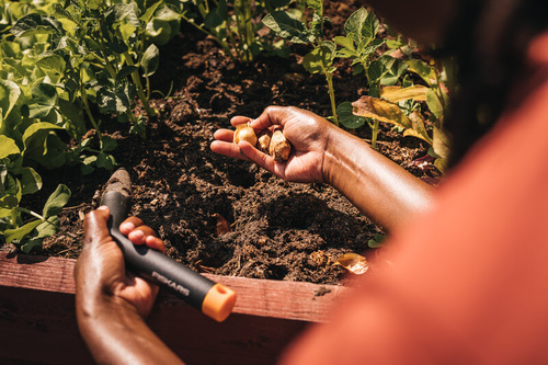 Narzędzia, które ułatwią wiosenne prace w ogrodzie: sadzenie i sianie